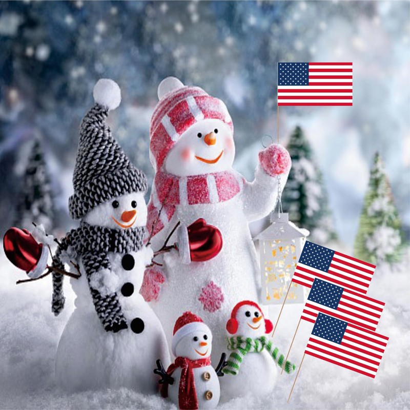 American US Toothpick Flag USA Small Mini Cocktail Fruit Cupcakes