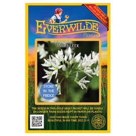 Everwilde Farms - 15 Wild Leek Native Wildflower Seeds - Gold Vault Jumbo Seed Packet