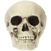 Folat 23916 Decorazione di HalloweenDecorazione - Teschio - Halloween -