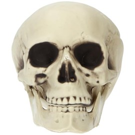 Folat 23916 Decorazione di HalloweenDecorazione - Teschio - Halloween - 14 x 17 x 19 cm