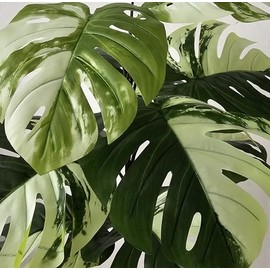 Green Boutique Planta Artificial Premium sin Maceta Variedad Hojas (Monstera Pinta)                                                                   