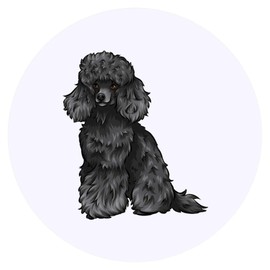 24 x 40mm Round 'Black Toy Poodle' Stickers (SK00043548)