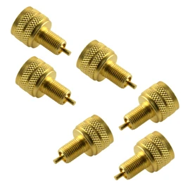 figatia 6Pcs Professional Solid Brass External Tire Bore Valve Reducer Adapter Connector