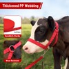 Cow Halter Cattle Halters Adjustable Calf Halter with Leading Rope