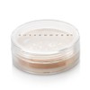 Guthy Renker Sheer Cover Lip to Lid Highlighter Bronzing Tan