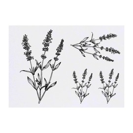4 x 'Simple Lavender Plant' Temporary Tattoos - Water Resistant, Skin-Safe, Non-Toxic Transfers, Mixed Sizes (TO00076380)