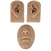 3D Nose and Mouth Model Silicone Ear Model Simulation Display