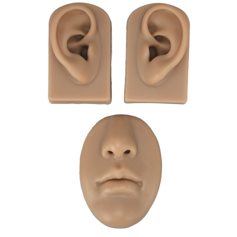3D Nose and Mouth Model Silicone Ear Model Simulation Display
