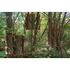 3D Camo Tape to Hide Trail Cameras: CAMBUSH Adheres to