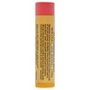 Burt's Bees Pink Grapefruit, Moisturizing Lip Balm