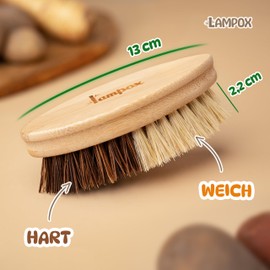 lampox® Gemüsebürste aus Bambus – Reinigungsbürste mit Naturborsten für Obst & Gemüse – Nachhaltige Bürste zur Gemüsereinigung – Spülbürste aus Bambusholz, umweltfreundlich & plastikfrei
