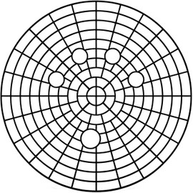 VIKING Automotive Bucket Insert Grit Traps for Car Wash and Detail Kits, Helps Remove Dirt and Debris from Microfiber, Mitts, Cloths, and Sponges, 2 Pack, Black