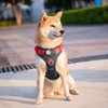 PHOEPET No Pull Dog Vest Harness with Unique Colors，Adjustable Reflective