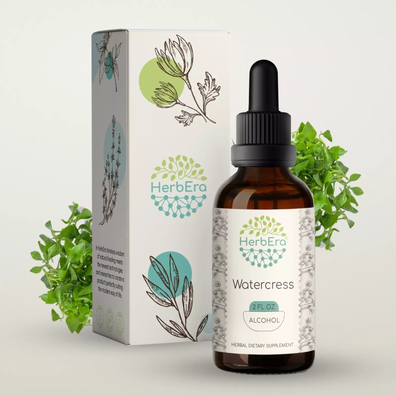 HerbEra Watercress Tincture, Organic Watercress (Nasturtium Officinale) - 4 fl