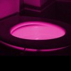 Nightlight Toilet Motion