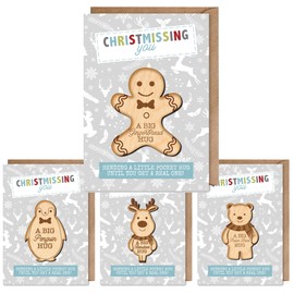 Set of 4 Pocket Hug Christmas Cards - Polar Bear, Gingerbread Man, Reindeer and Penguin Little Pocket Hugs
