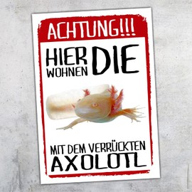 Achtung Axolotl hier wohnen Sign Funny with Saying Door Sign Warning Sign Fun Metal Sign Newt