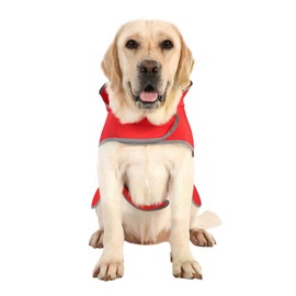 Dog Raincoat with Hood and Leash Hole, Adjustable Belly Strap, Reflective Strips, Lightweight Slicker Poncho Rain Jacket Coat for Small Medium Large Dogs and Puppies