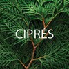 ACEITE ESENCIAL DE CIPRÉS 30 ML. GRADO TERAPEUTICO, puro natural