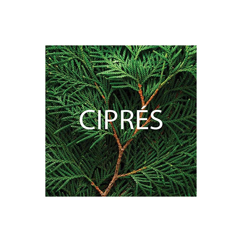 ACEITE ESENCIAL DE CIPRÉS 30 ML. GRADO TERAPEUTICO, puro natural