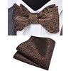 Gusleson Mens Brown Self Tie Bow Tie Silk Woven Paisley