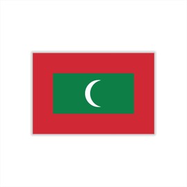 Womaha 30 Sheets Temporary Maldives Flag Tattoos for Kids Adults Fans Fake Face Tattoo Stickers