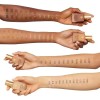 Estée Lauder Double Wear Stay-in-place Makeup Tono 4N1 Shell beige