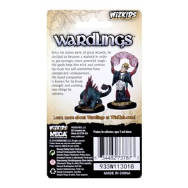 WizKids Wardlings RPG Figure (Painted) Wave 3: Boy Warlock & Lizard (WK73787)