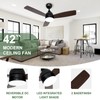 Minislak 42 Inch Black Ceiling Fan with Light and Remote