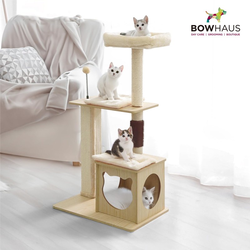 BOWHAUS 42” Wooden Cat Tree Tower for Indoor Large Cats
