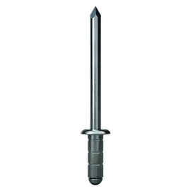 GESIPA 75 x stainless steel (VA2) blind rivets, diameter 4.0 x 10.0 mm, PolyGrip®, for material thickness: 1.0 - 6.5 mm, rivets in industrial quality, buy hollow rivets from the professionals