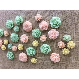 24Pcs Decorative Push pins,Cork Board Tacks,Bulletin Board Tacks,Thumb Tack Decorative for CorkBoard, Office Organization or Home