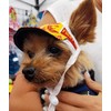 Dog Hat - USC Sports Fabric