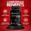 BOSCENT Suplemento De Lumbroquinasa De 40 Mg │ Actividad Máxima