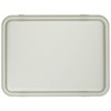 Rinnai RCP-60M Cooking Goods Cooking Plate, Single-Sided Baking (No Water)