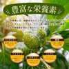 Seed Coms Noni Capsules, Approx. 6 Month Supply, 180 Tablets,