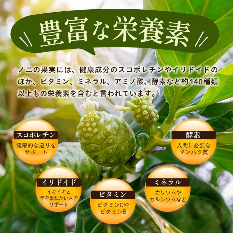 Seed Coms Noni Capsules, Approx. 6 Month Supply, 180 Tablets,