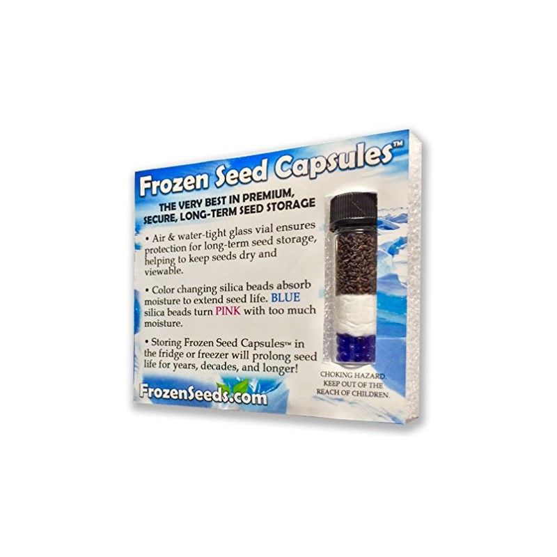 Palm Beach Medicinal Herbs - Henbane (Hyoscyamus Niger) - Packet