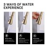 WEWE Gold Kitchen Faucet with Pull Down Sprayer, Single Handle