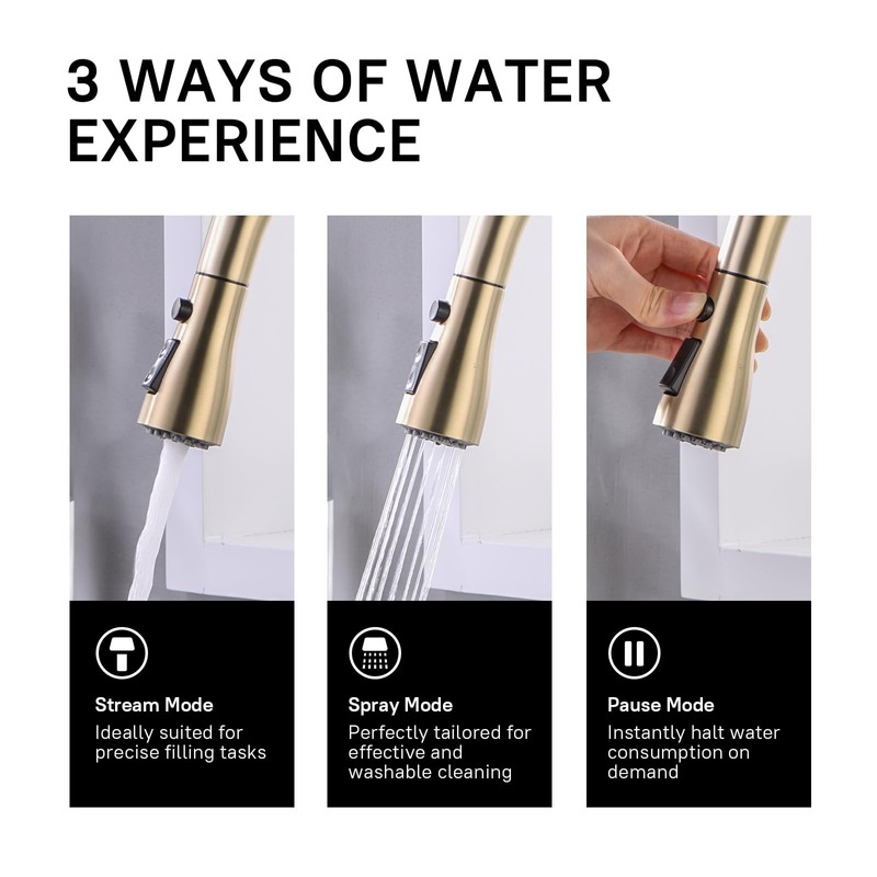 WEWE Gold Kitchen Faucet with Pull Down Sprayer, Single Handle