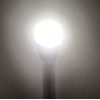 Pactrade Marine LED Boat Navigation Light - All-Round Stern Light