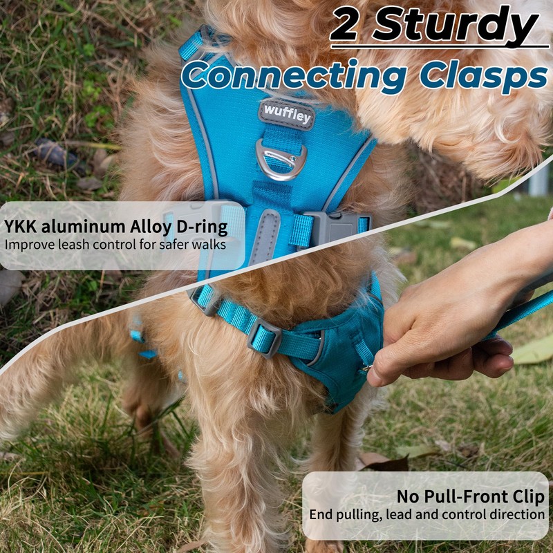 Escape Proof Dog Harness and Leash Set, Lightweight Dog Harness