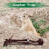 Qualirey 12 Pcs Outdoor Gopher Trap Easy Set Mole Trap