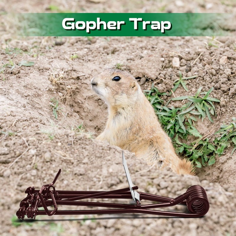 Qualirey 12 Pcs Outdoor Gopher Trap Easy Set Mole Trap