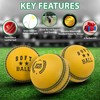 ADS SPORTS Soft Cricket Balls For Practice & Excellent Training