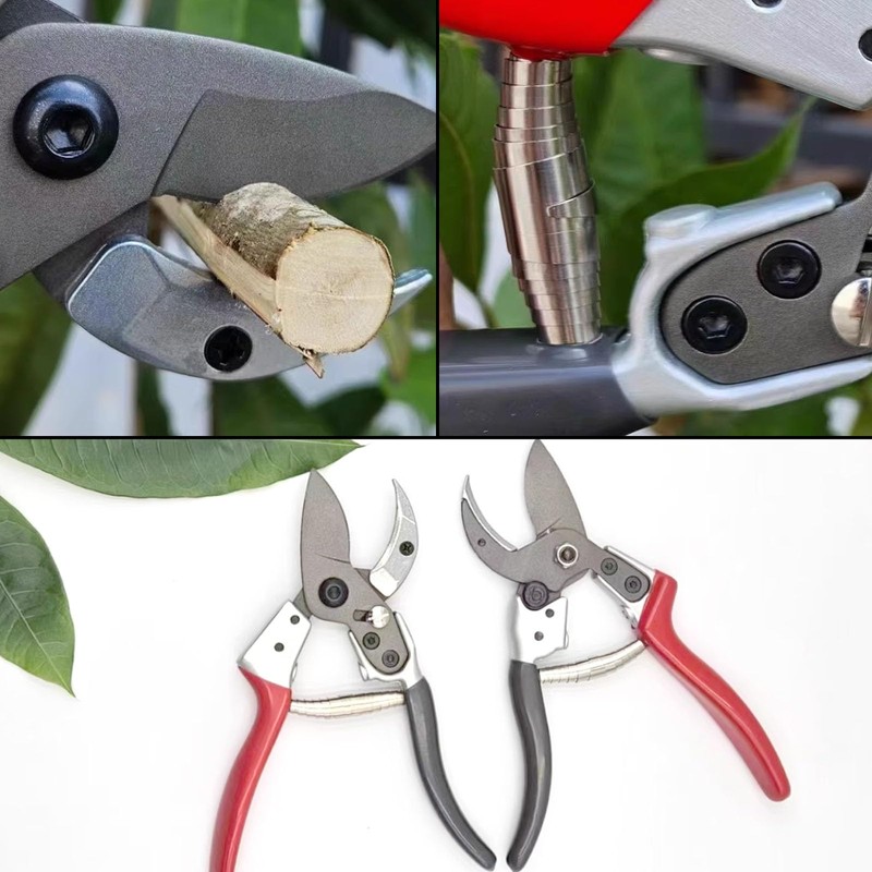 GisWell 6 Piece Stainless Steel Replacement Springs Set, Garden Shears