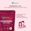 Wellthy Berberina 60 Cápsulas Berberis Aristata 500mg C/u Sin Sabor