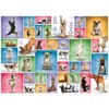 Yoga Dogs 1000pc Puzzle