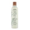 Aveda Rosemary Mint Purifying Shampoo and Weightless Conditioner 250ml Bundle