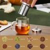 DOPUDO Glass Tea Cup with Infuser and Lid, 17.6oz/520ml Large